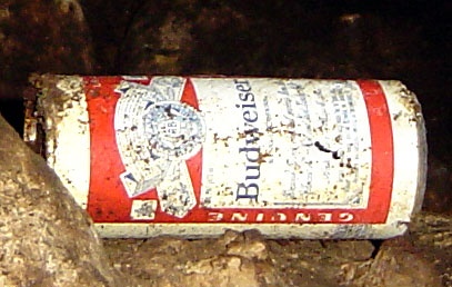 Old Budweiser Can