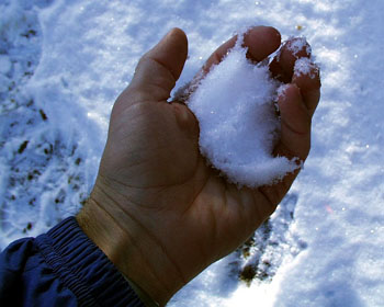 snow in hand