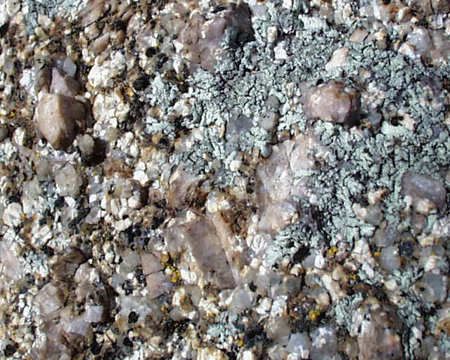 Granite closeup