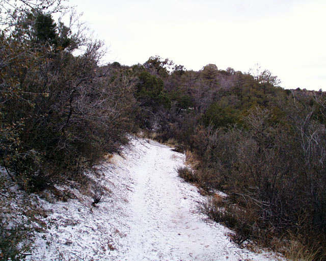 Snowy trail