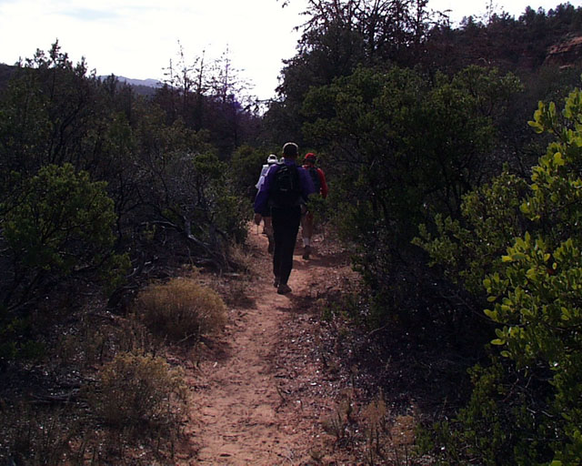 Manzanita trail