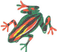 Pipe Frog
