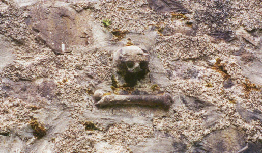 A skull in the mausoleum (chapel) by Dunstaffnage castle.  People were burried there for hundreds of years.  The latest burial was only 1980.