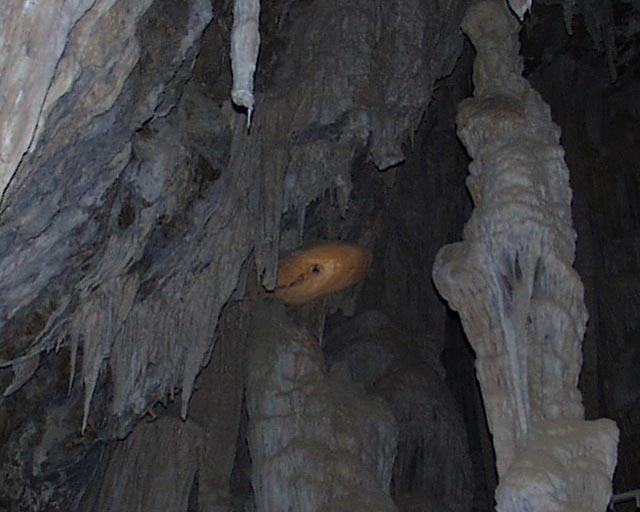 Cave sheild