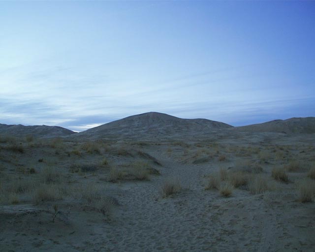 Kelso dunes