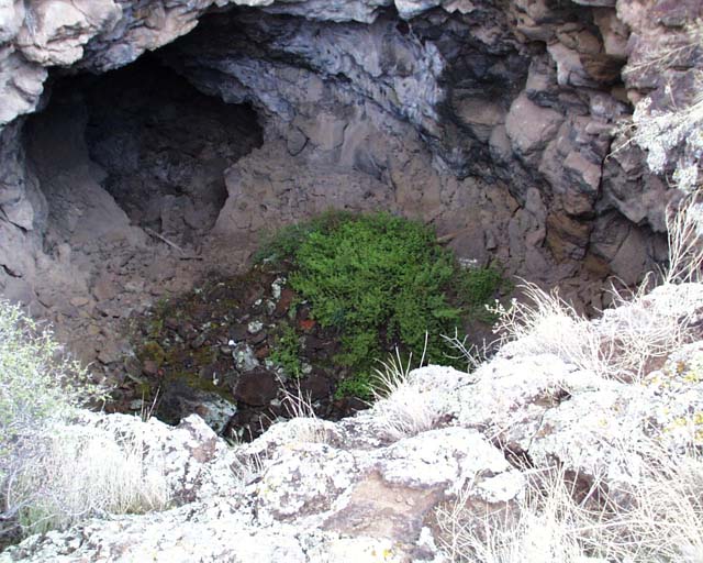 06 el maplais vegetation at cave entrance
