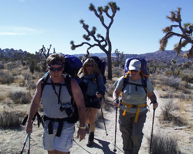 Hikers heading up trail