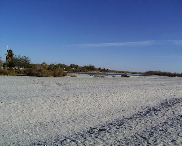 Salton sea beach