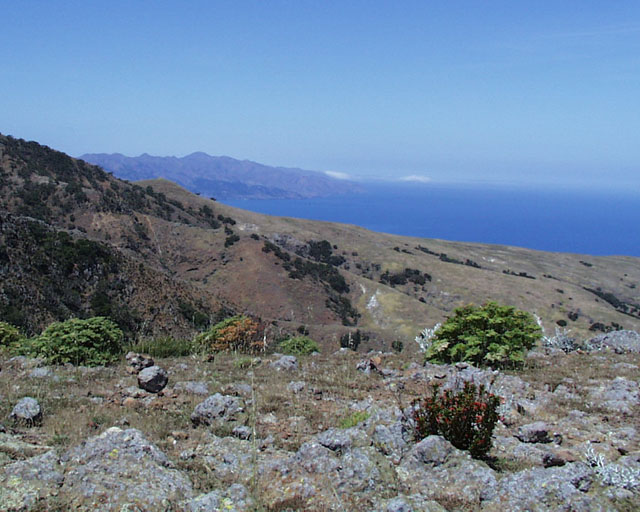Island view