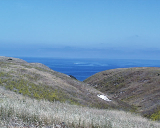 Island view