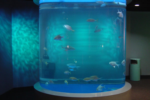 Cylindrical fish tank