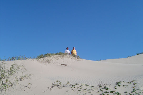 Mark dick sand dune