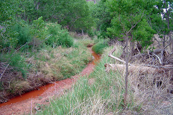 Red mud creek