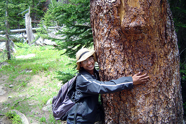 Alisha tree hugger